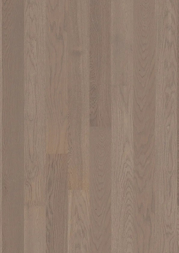 Oak Arizona