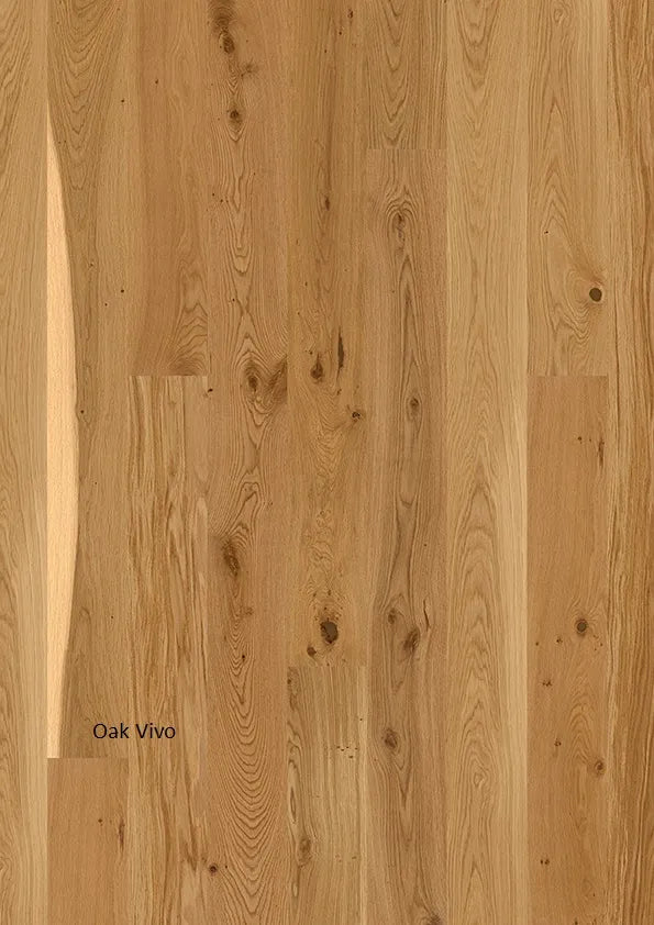 Oak Vivo