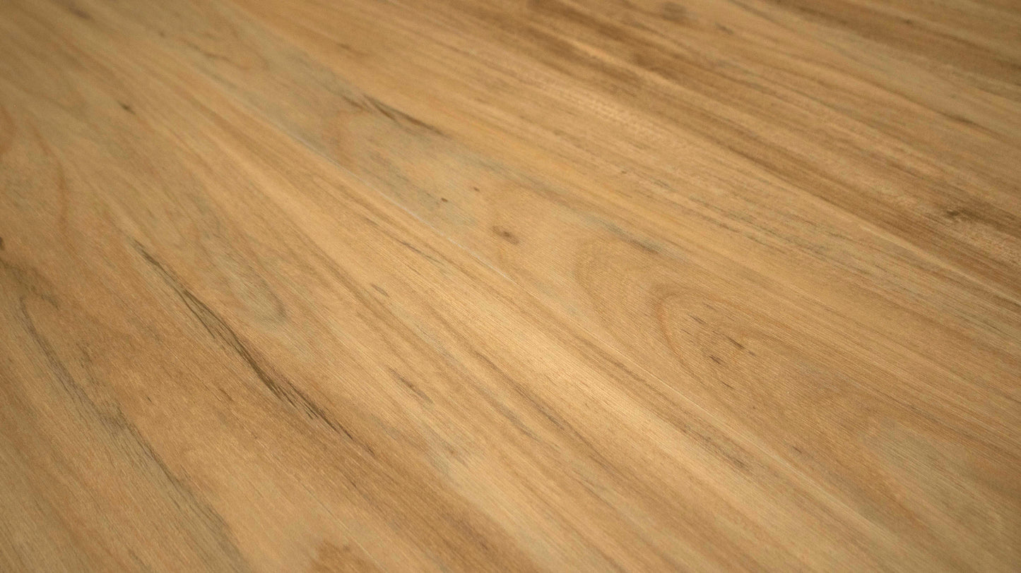 Acacia DW3230