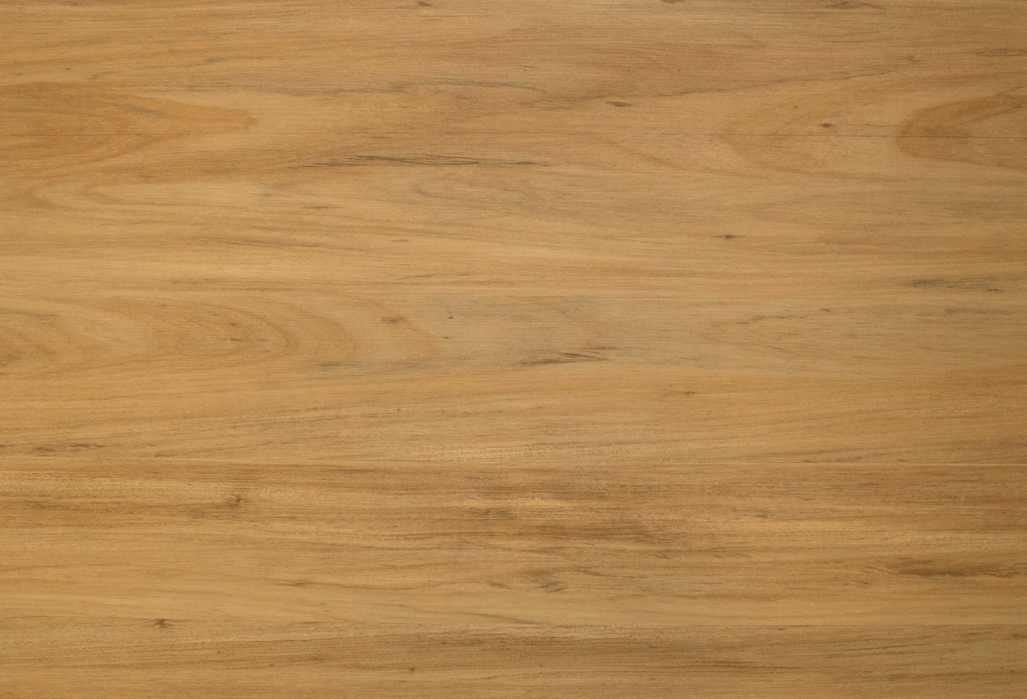 Acacia DW3230