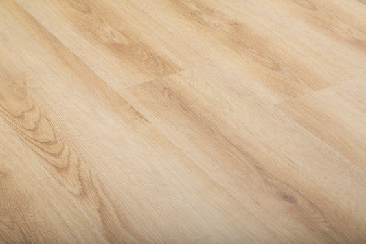 Appalachian Mountains