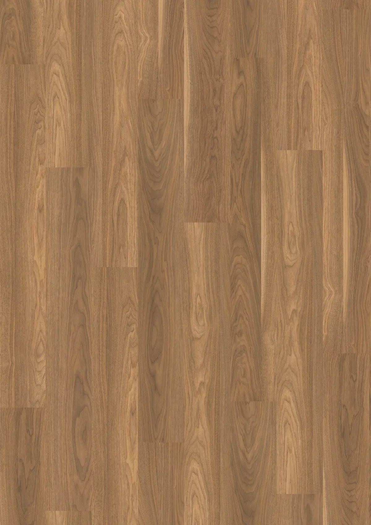 Mansonia Walnut