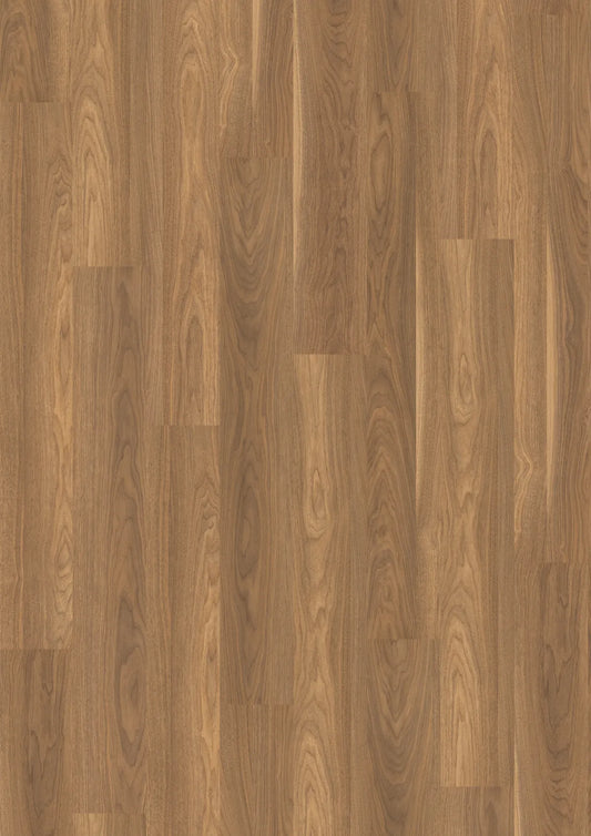 Mansonia Walnut