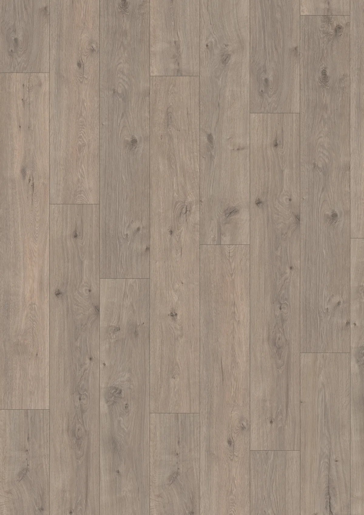 Canadian Standard Flooring Murom Oak Gray