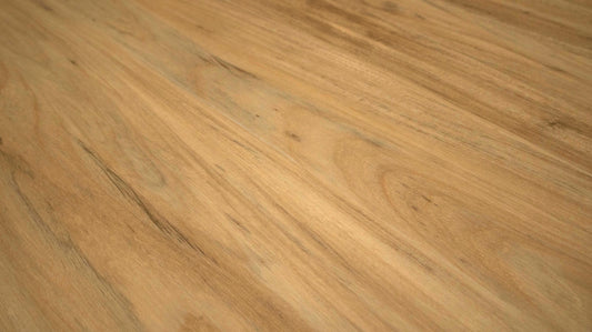 Acacia DW3230