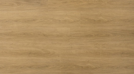CDW219S-02
