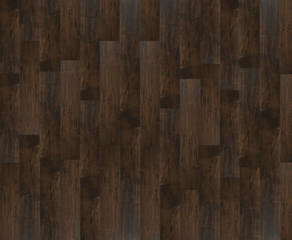 Dark Birch